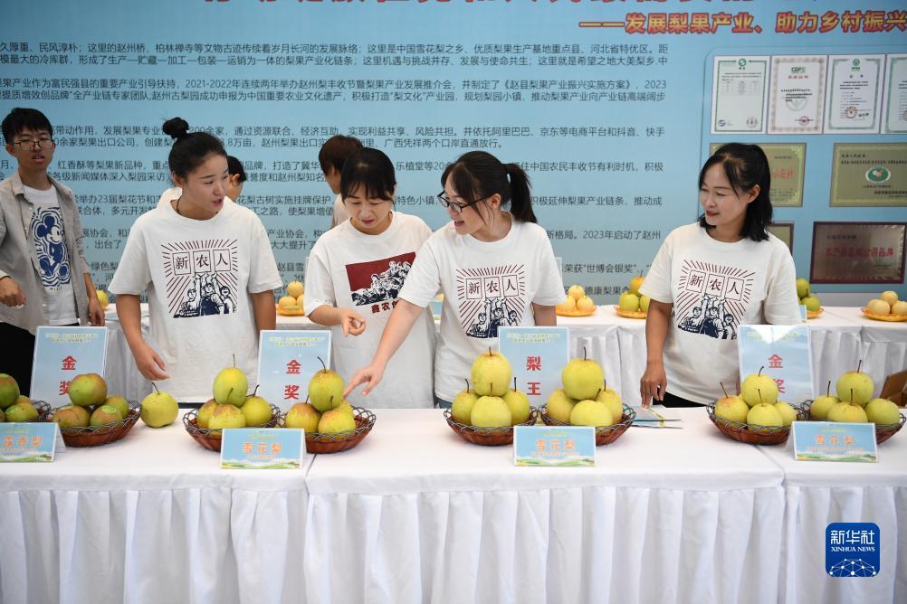集结娱乐网站是多少